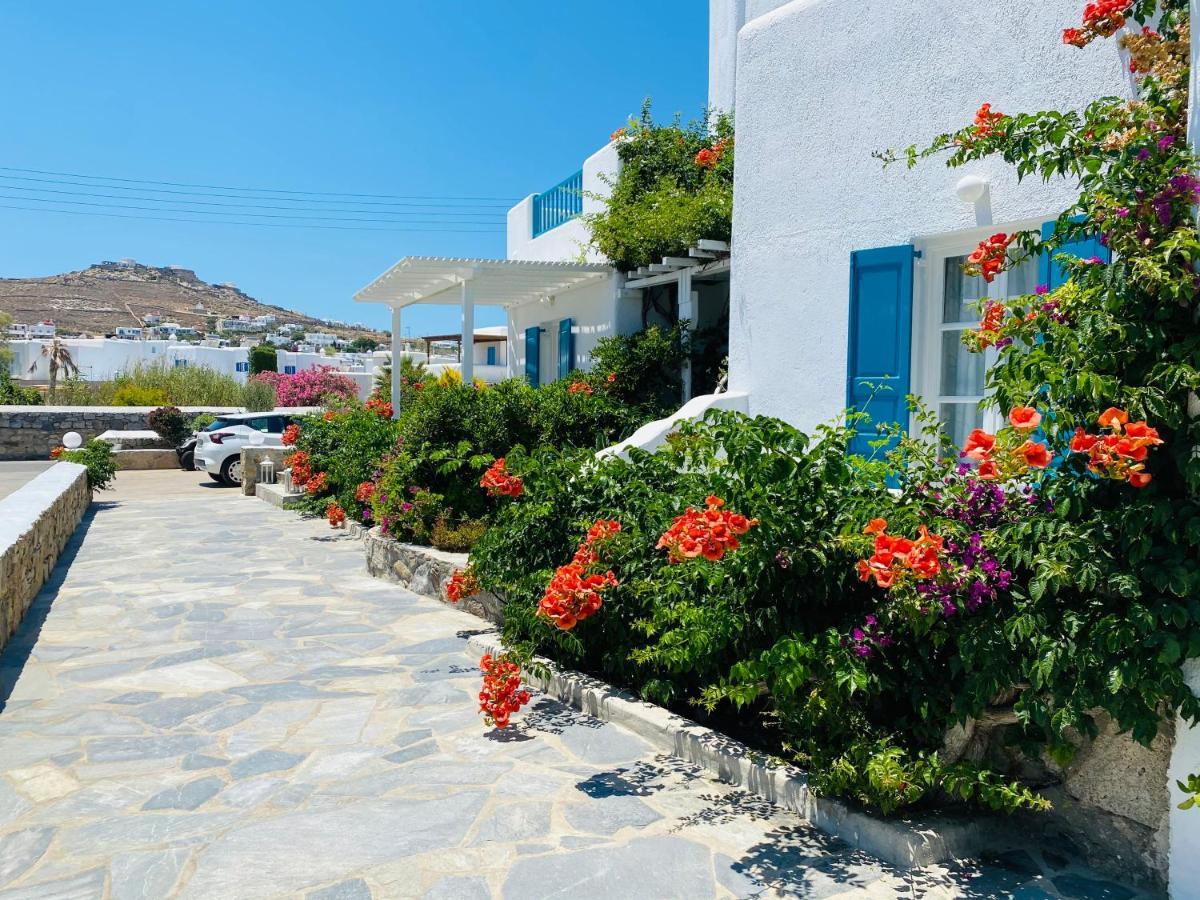 Cyclades Blue 3*